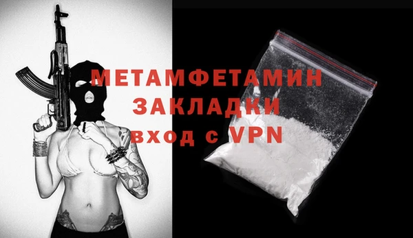 прущие грибы Рославль