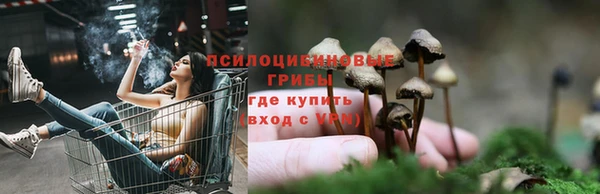 соль курить ск Невель