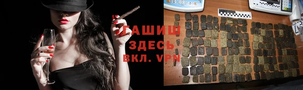 прущие грибы Рославль