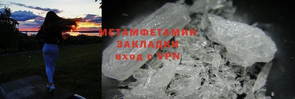 прущие грибы Рославль