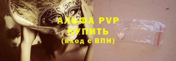 прущие грибы Рославль