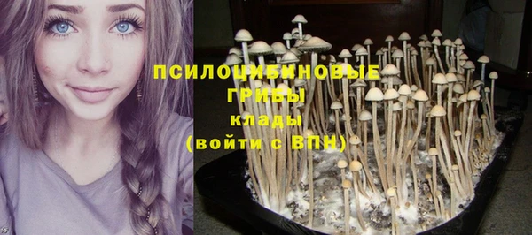 дмт Ростов