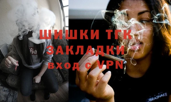 прущие грибы Рославль