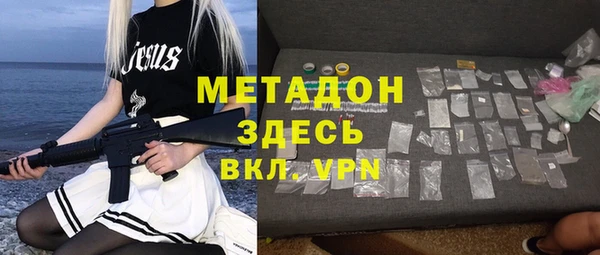 прущие грибы Рославль