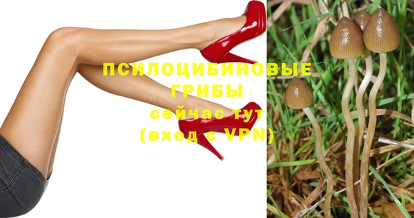 прущий лед Россошь